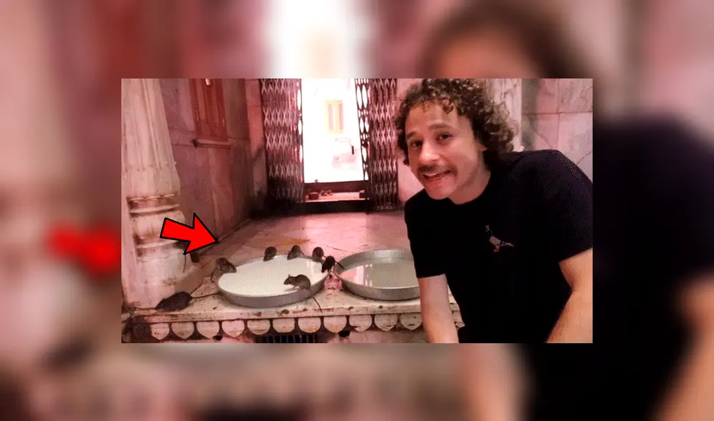 WhatsApp: Con estos sencillos pasos podrás obtener los stickers personalizados de ‘Luisito Comunica’ [FOTOS]