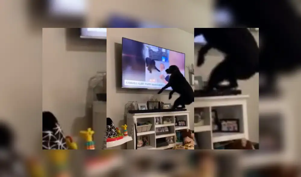 Desliza hacia la izquierda para ver más del video viral. Desliza hacia la izquierda para ver más del video viral.