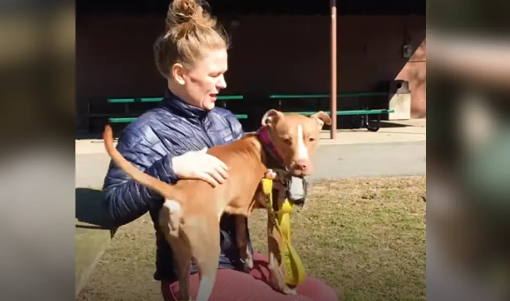 Desliza hacia la izquierda para ver las imágenes del viral de YouTube. Foto: El Dodo.