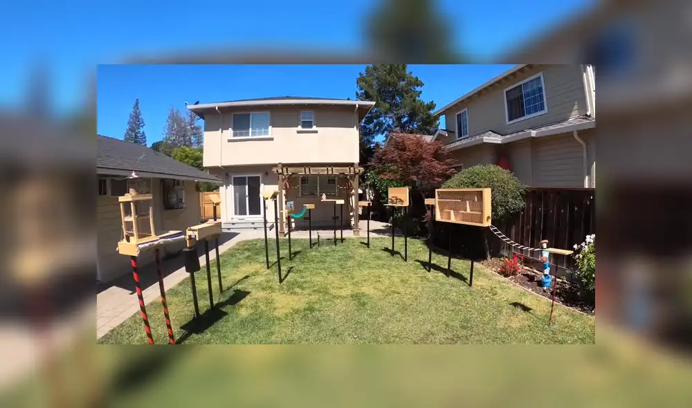 En YouTube se hizo viral el increíble circuito que construyó un joven para que las ardillas dejen de robar comida. En YouTube se hizo viral el increíble circuito que construyó un joven para que las ardillas dejen de robar comida.