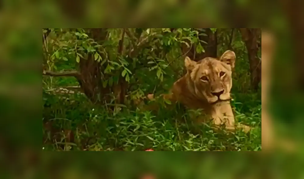 Desliza hacia la izquierda para ver las imágenes del video viral de YouTube.