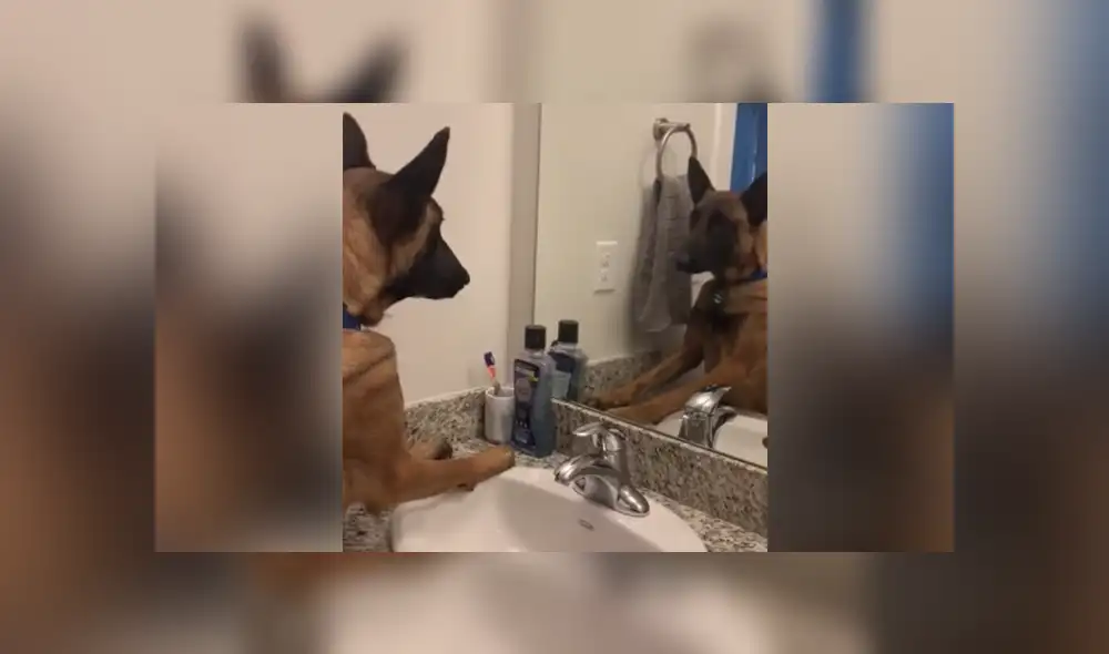 Desliza a la izquierda para conocer más sobre este nuevo video viral que ha hecho reír a miles en Facebook. Foto: Captura. Desliza a la izquierda para conocer más sobre este nuevo video viral que ha hecho reír a miles en Facebook. Foto: Captura.