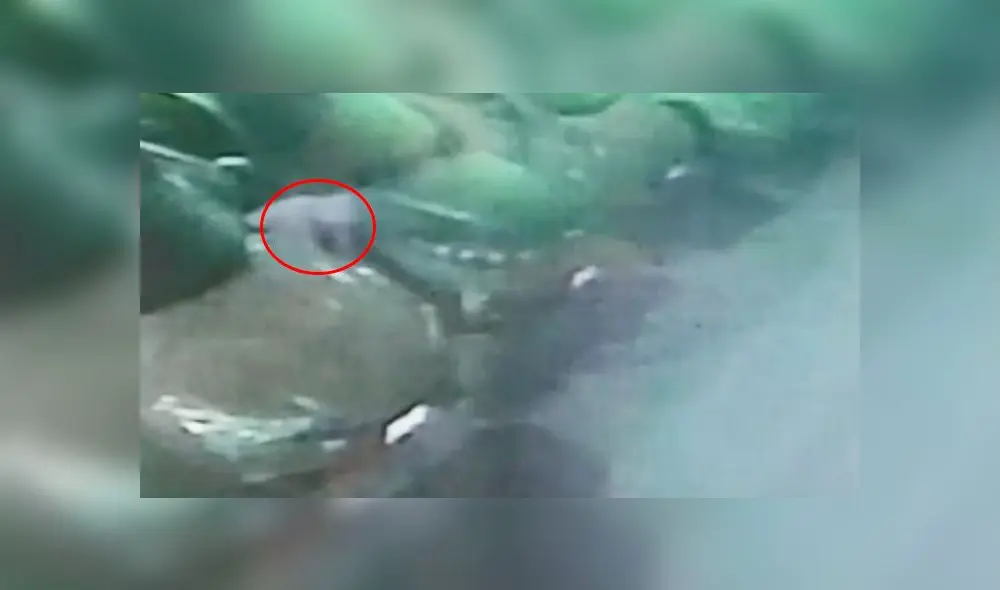 Denuncian que sujeto incendió vehículo en estacionamiento. Créditos: Captura.