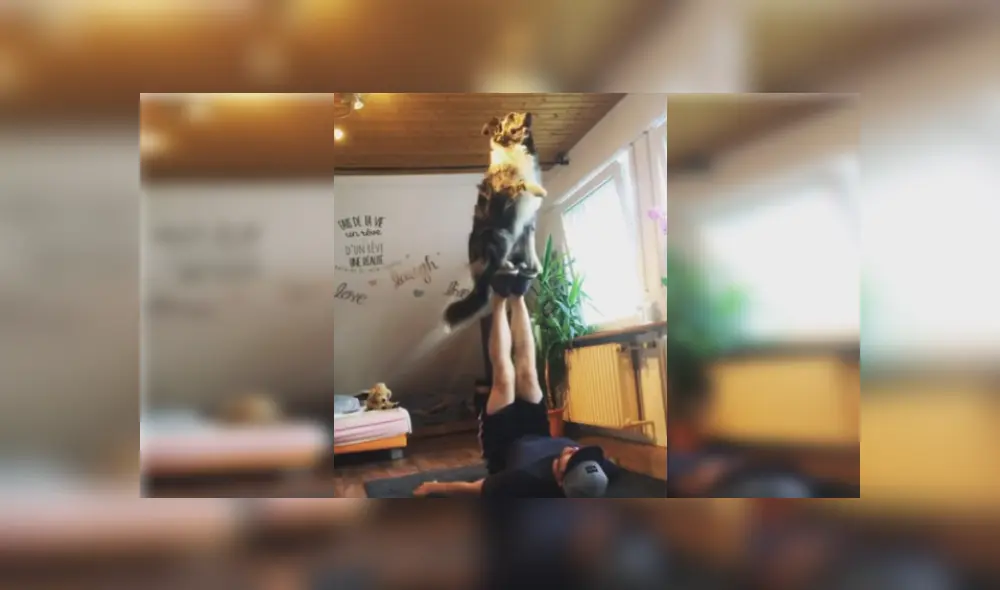 Desliza las imágenes para ver más detalles sobre esta escena que es viral en Facebook.