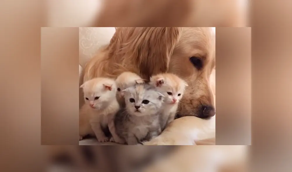 Desliza la imagen de Facebook para ver todas las imágenes. Desliza la imagen de Facebook para ver todas las imágenes.