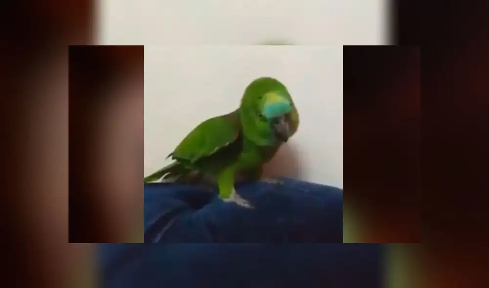 Desliza las imágenes para ver todos los detalles de este viral publicado en redes sociales.Foto: Ale Alcocer/facebook Desliza las imágenes para ver todos los detalles de este viral publicado en redes sociales.Foto: Ale Alcocer/facebook