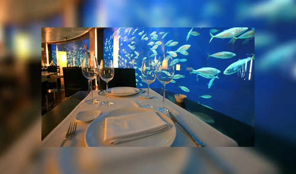 Disfrutar de una cena en el acuario más grande de Europa, el Oceanogràfic . (Foto: Oceanogràfic) Disfrutar de una cena en el acuario más grande de Europa, el Oceanogràfic . (Foto: Oceanogràfic)