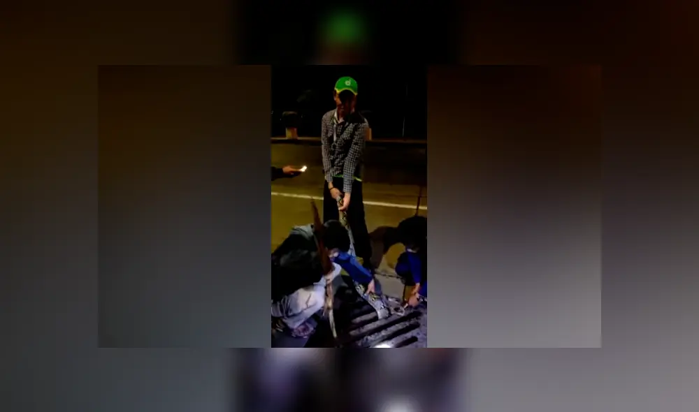 Desliza hacia la izquierda para ver el rescate de la serpiente pitón que se volvió viral en Facebook. Desliza hacia la izquierda para ver el rescate de la serpiente pitón que se volvió viral en Facebook.