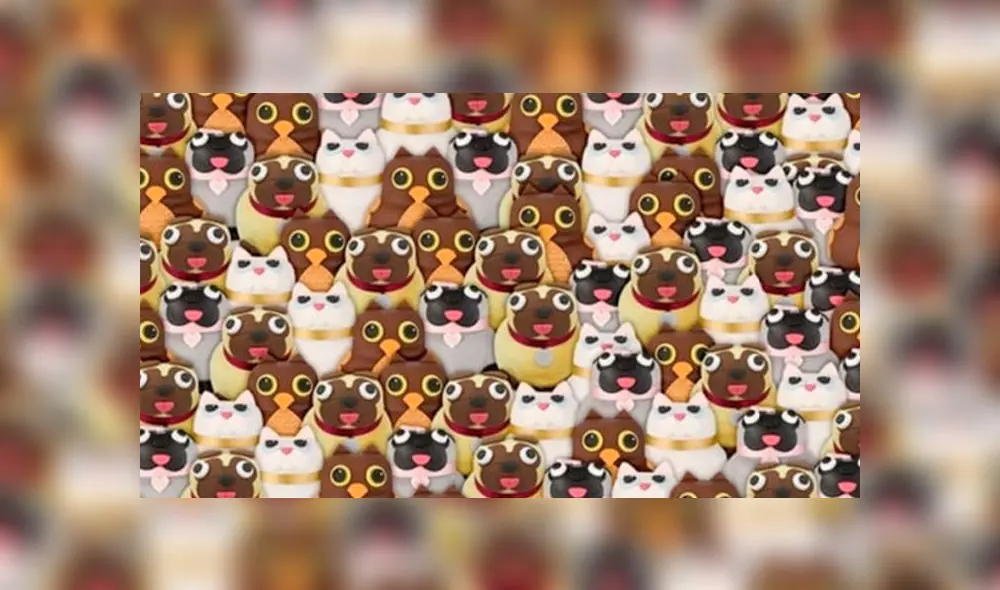 Desliza las imágenes para ver la ubicación del travieso osito panda que se escondió entre varios animales. Fuente: Facebook