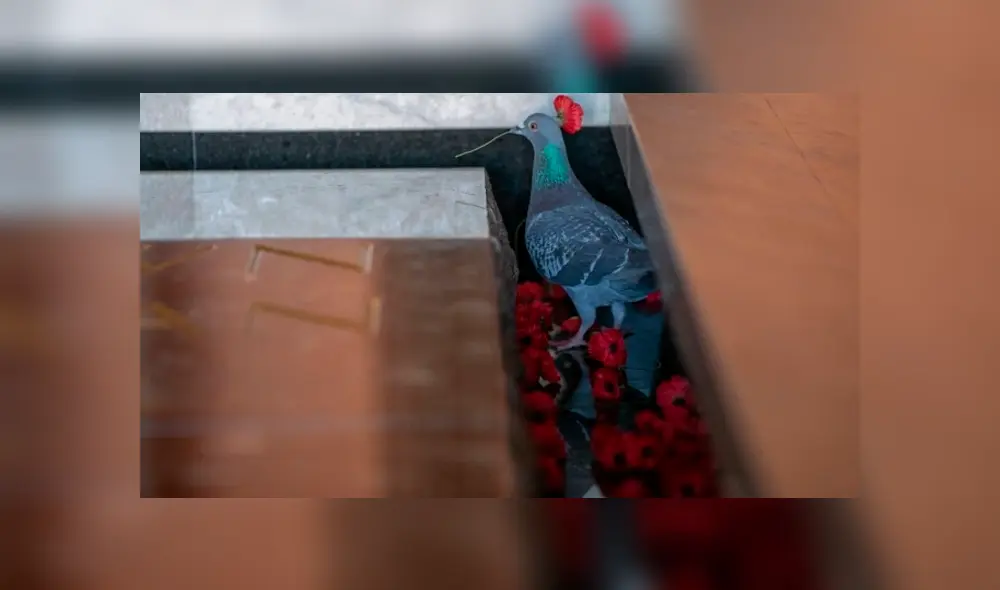 Desliza para ver todas las imágenes de Facebook. Foto: captura.