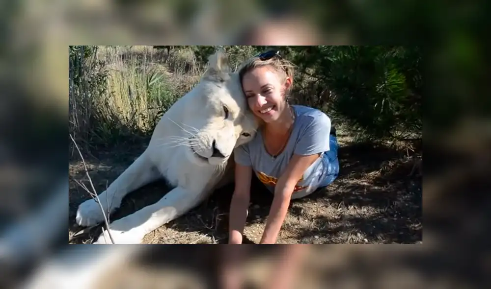 El video viral de YouTube muestra la reacción que tuvo una leona al toparse con una modelo hacía safari dentro de un peligroso campo de felinos.