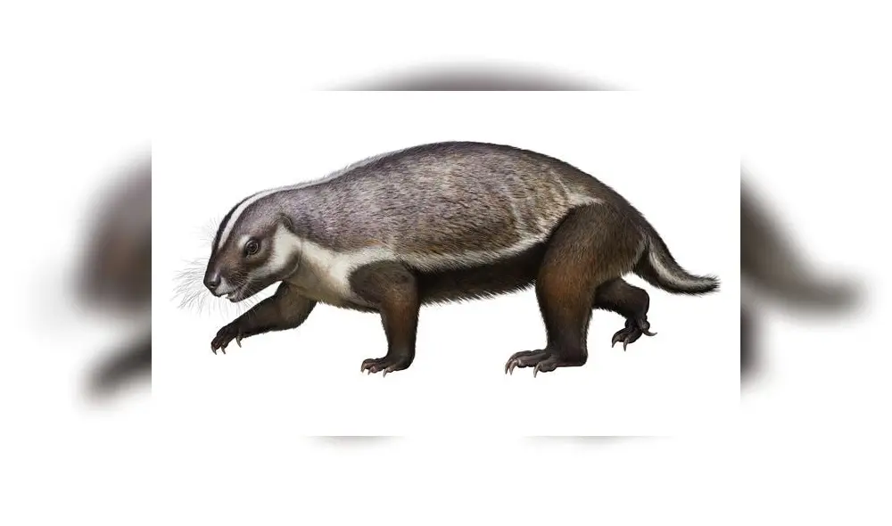 La bestia loca de Madagascar. Foto: Difusión.