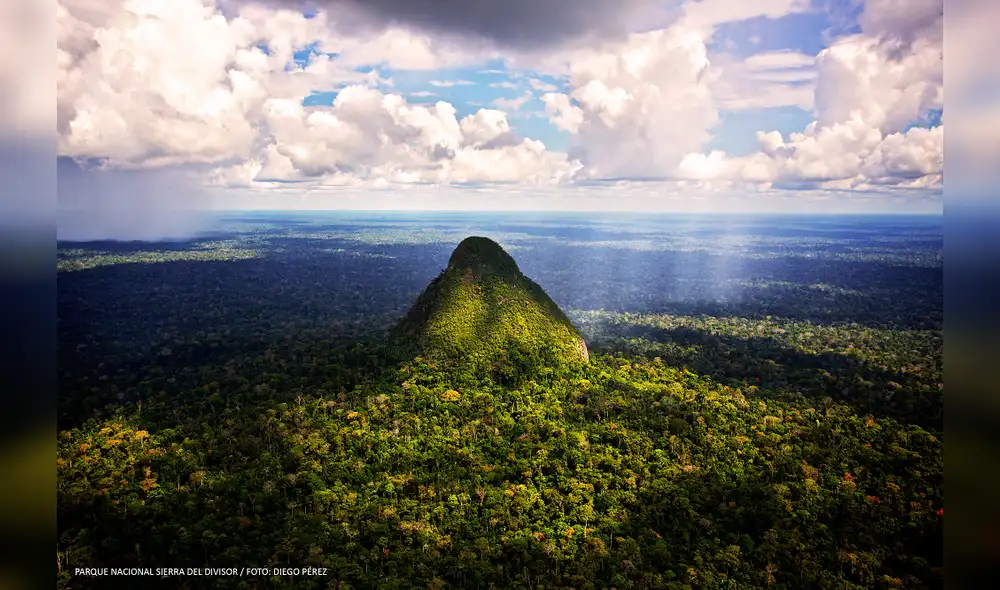 Usan drones para erradicar actividades ilegales en Sierra del Divisor