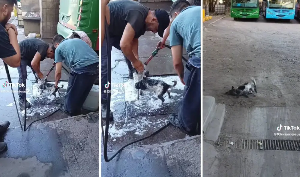 El video ha acumulado más de 500.000 reproducciones en TikTok. Foto: composición LR/captura de TikTok/@10lucianojesus El video ha acumulado más de 500.000 reproducciones en TikTok. Foto: composición LR/captura de TikTok/@10lucianojesus