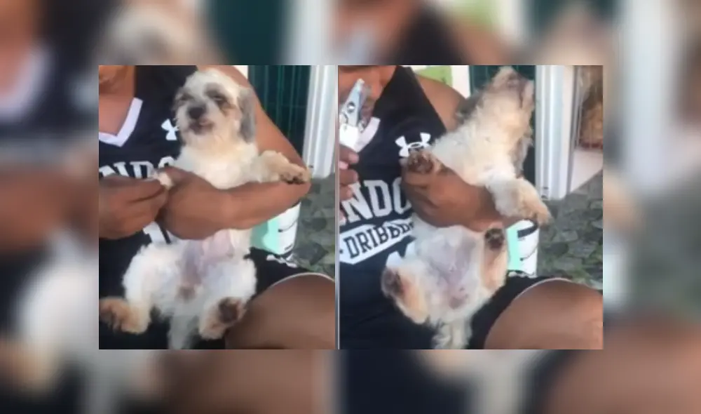 Desliza hacia la izquierda para ver más del video viral. Fotocaptura: TikTok Desliza hacia la izquierda para ver más del video viral. Fotocaptura: TikTok