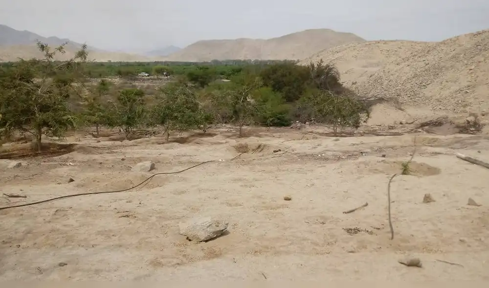Lugar donde abandonaron a mujer embarazada. Lugar donde abandonaron a mujer embarazada.