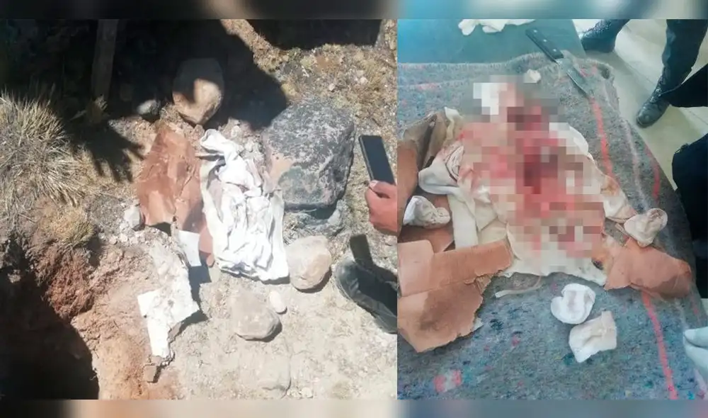 Hallan feto enterrado en Ananea. Hallan feto enterrado en Ananea.
