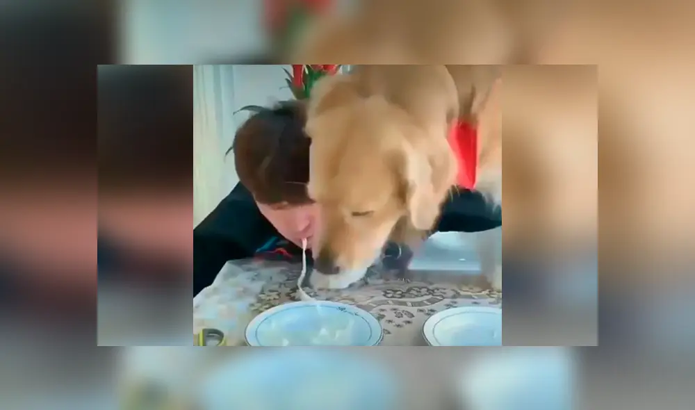 Desliza las imágenes para apreciar la competencia entre un joven y su perro al comer más rápido unos fideos. Foto: Captura. Desliza las imágenes para apreciar la competencia entre un joven y su perro al comer más rápido unos fideos. Foto: Captura.