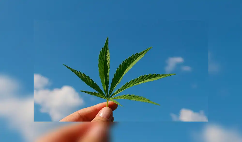Se trata de un tratamiento experimental con cannabis para ayudar a los bebés que corren riesgo de convulsiones y lesiones cerebrales. Foto: Pixabay Se trata de un tratamiento experimental con cannabis para ayudar a los bebés que corren riesgo de convulsiones y lesiones cerebrales. Foto: Pixabay