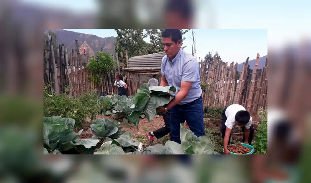 Niños cultiva huerto para poder alimentarse mejor. Foto: Walac.pe Niños cultiva huerto para poder alimentarse mejor. Foto: Walac.pe