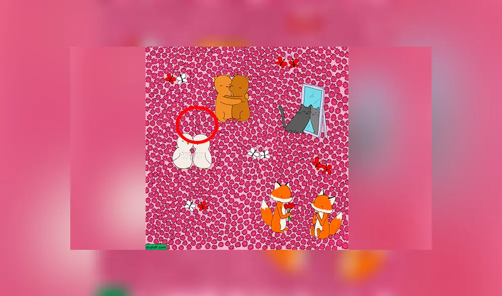 Desliza las fotografías para conocer la respuesta de este ‘reto visual’ que ha sido lanzado en el ‘Día de San Valentín’. Foto: dudolf Desliza las fotografías para conocer la respuesta de este ‘reto visual’ que ha sido lanzado en el ‘Día de San Valentín’. Foto: dudolf