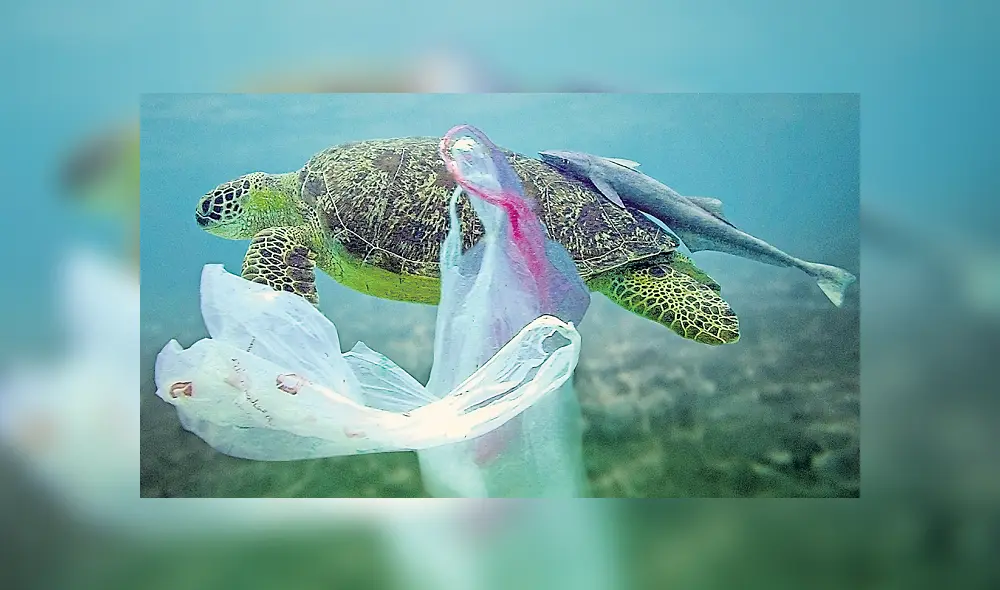 Congreso aprueba Ley que regula plásticos de un solo uso