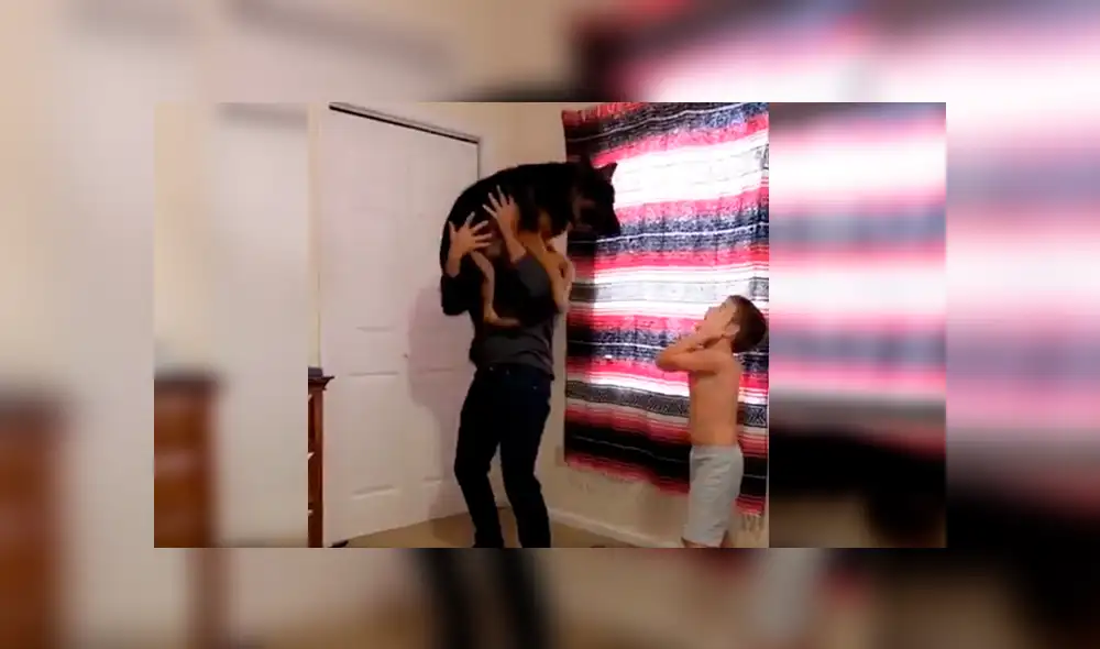 En Facebook, un perro quería unirse a la diversión de su dueño con su menor hijo para que lo carguen.