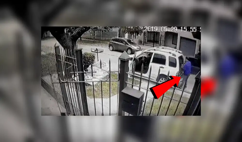YouTube viral: Perros ven que su dueño es asaltado con pistola y lo rescatan valerosamente [VIDEO] 