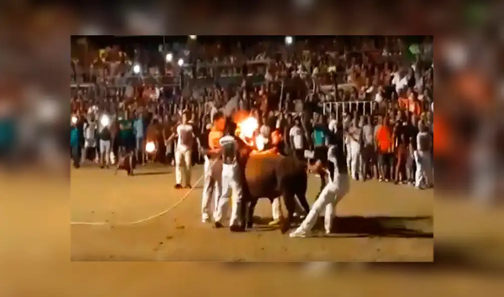 Incendian los cuernos de toro en pleno festival de Cataluña [VIDEO]