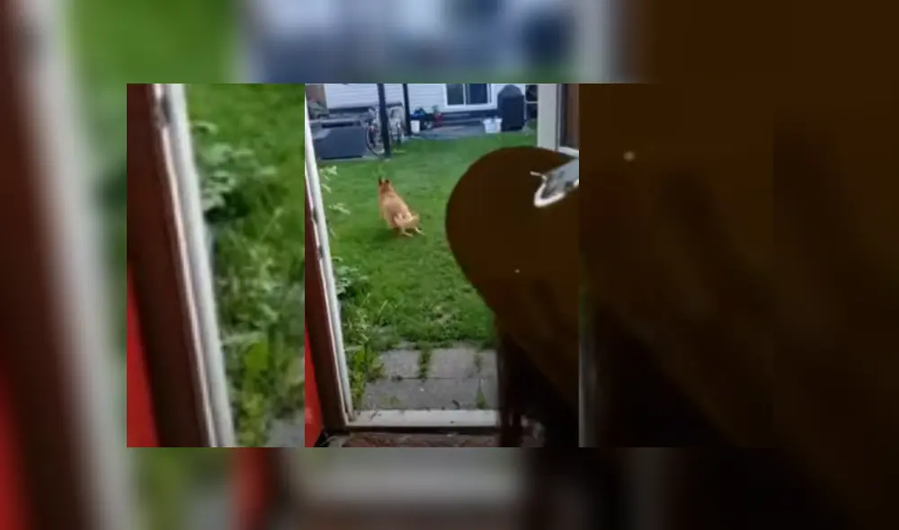 Desliza hacia la izquierda para ver más del video viral. Fotocaptura: YouTube Desliza hacia la izquierda para ver más del video viral. Fotocaptura: YouTube