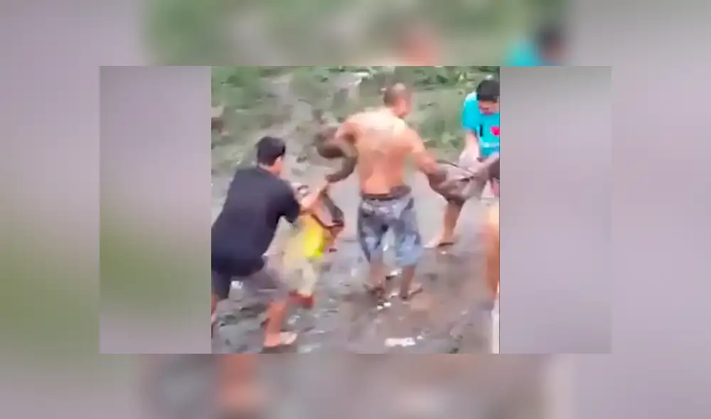 Desliza hacia la izquierda para ver el momento en que el hombre interfiere en la batalla de dos enormes serpientes en Filipinas. El video es viral en YouTube.
