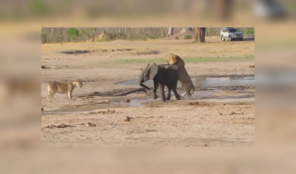 Desliza para ver el final de este video viral de YouTube. Foto: Captura.