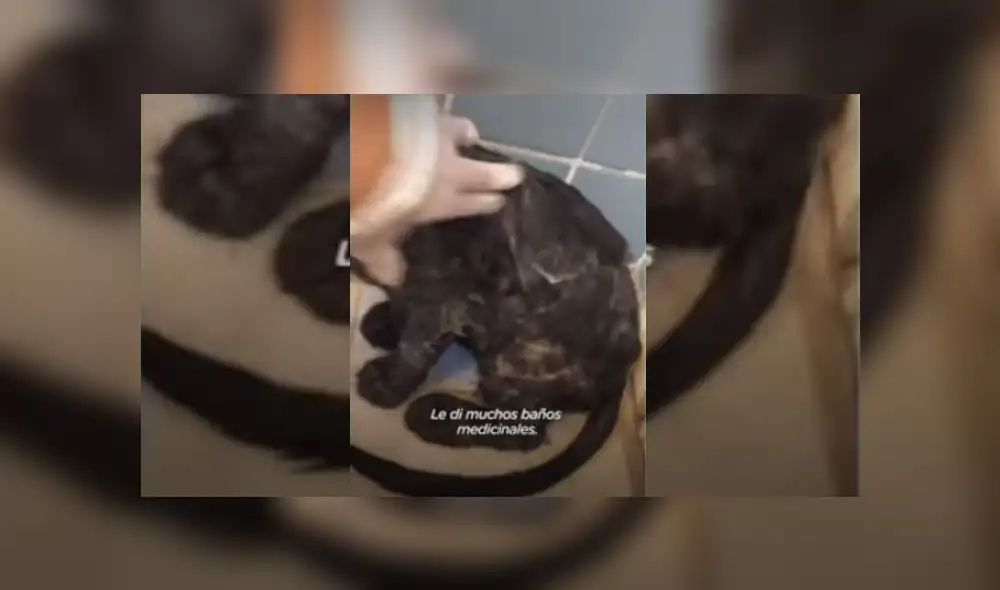 Desliza hacia la izquierda para ver más del video viral. Fotocaptura: YouTube Desliza hacia la izquierda para ver más del video viral. Fotocaptura: YouTube