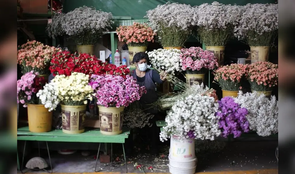 Créditos: Antonio Melgarejo / La República. Créditos: Antonio Melgarejo / La República.