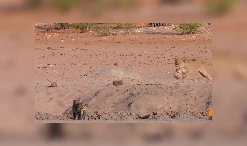 Desliza para ver los momentos más impactantes del video que se hizo viral en YouTube.