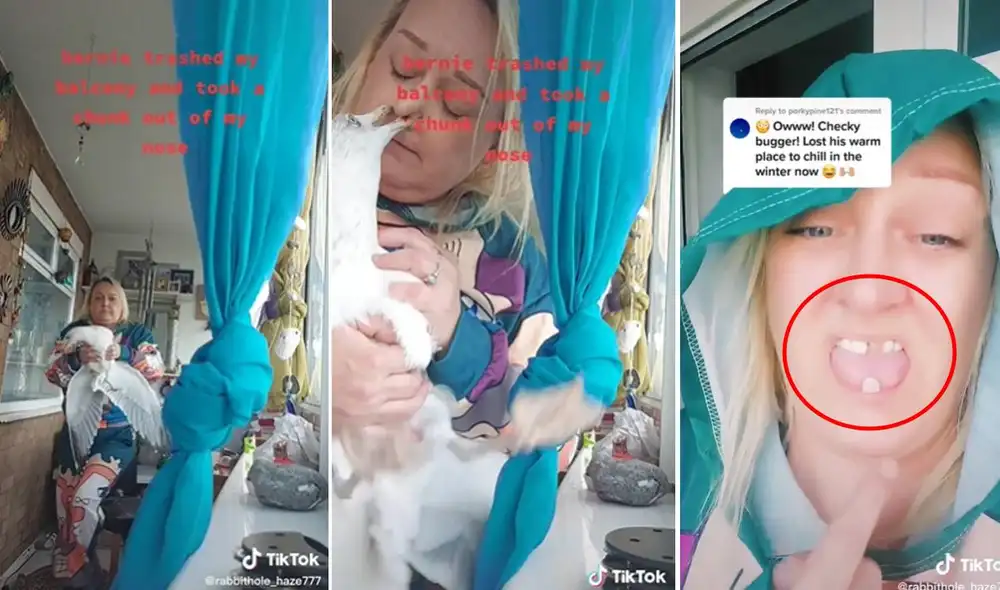 Tras recibir el picotazo, la mujer dejó que el ave se vaya volando. Foto: composición LR/captura de TikTok/@rabbithole_haze777