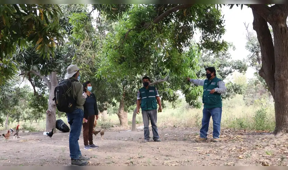 Facilitadores del Senasa en Lambayeque Facilitadores del Senasa en Lambayeque