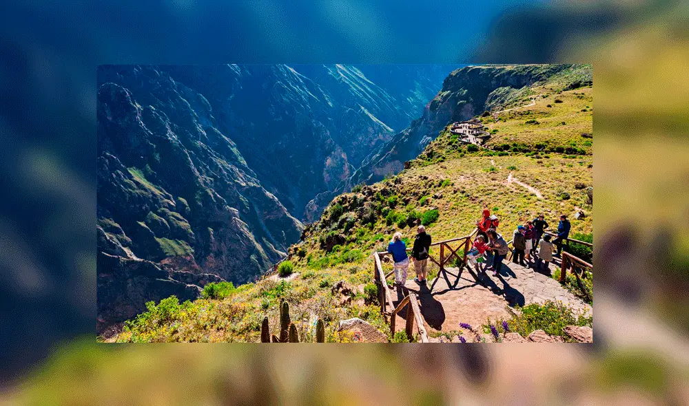 Cañón del Colca (Arequipa) Foto: PromPerú