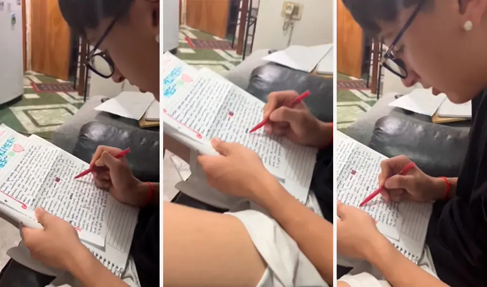 La joven grabó el preciso momento en que su novio encerró con círculos rojos las palabras que les faltaba tilde. Foto: composición LR/TikTok/@lula28v