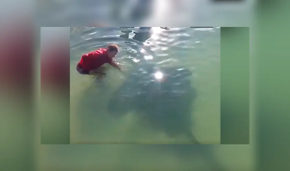 YouTube viral: chico ingresa a playa y se topa con gigantesca criatura marina [VIDEO] 