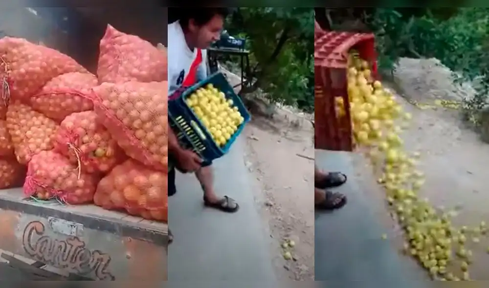 Tiran frutas a la carretera Tiran frutas a la carretera