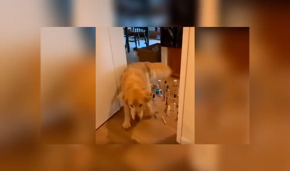 Desliza las imágenes hacia la izquierda para conocer al ganador de una divertida competencia que inventó un joven. Desliza las imágenes hacia la izquierda para conocer al ganador de una divertida competencia que inventó un joven.