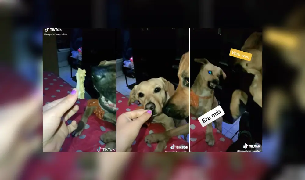 Desliza las imágenes para ver más detalles de esta divertida escena que es viral en Facebook. (Foto: captura)