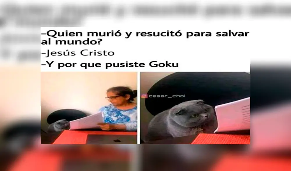 Desliza para ver los mejores memes del 2019 que fueron compartidos en Facebook y otras redes sociales. Foto: captura