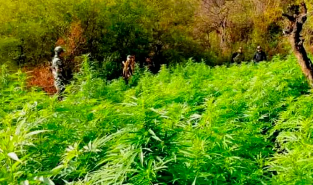 Campamento fue destruido. Foto: PNP