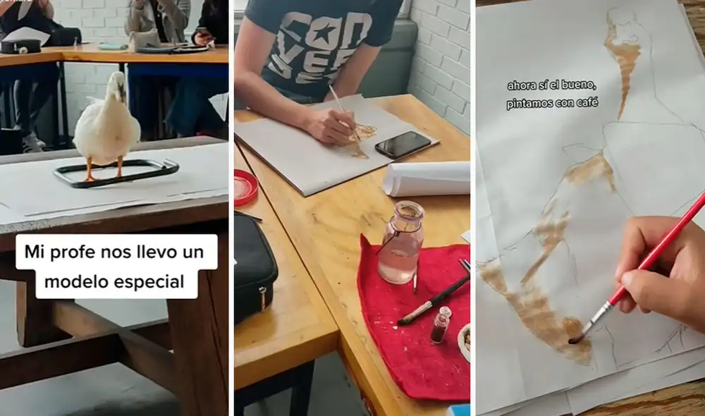 El ave permaneció en el medio del salón, donde los estudiantes le tomaron fotos y vieron cada detalle de su cuerpo. Foto: composición LR/TikTok/@_romaru