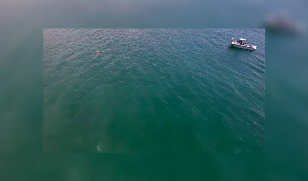 Facebook: aterradora criatura paraliza a bañista a plena luz del día [VIDEO] 