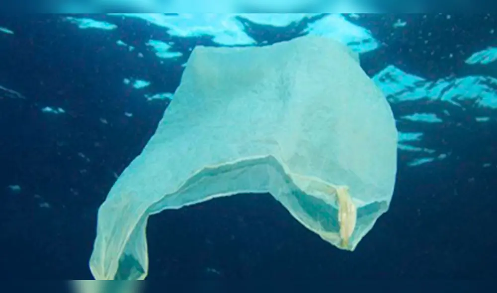 Gobierno plantea prohibir el uso de bolsas, envases de tecnopor y cañitas