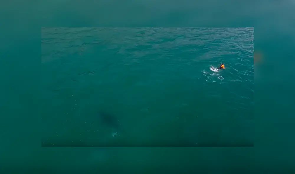 Facebook: aterradora criatura paraliza a bañista a plena luz del día [VIDEO] 