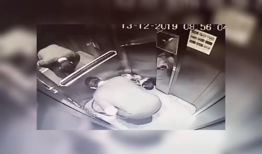 Maltrato animal en Chile fue hecho viral en redes sociales. Foto: Captura